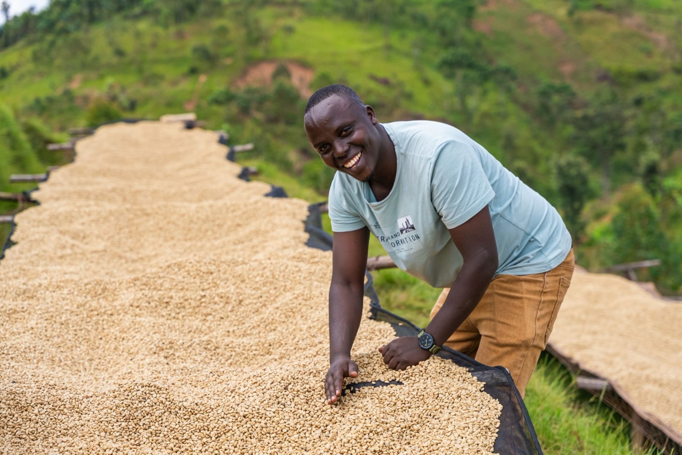 A smiling man leaning over raised beds of parchment coffee drying on a hillside