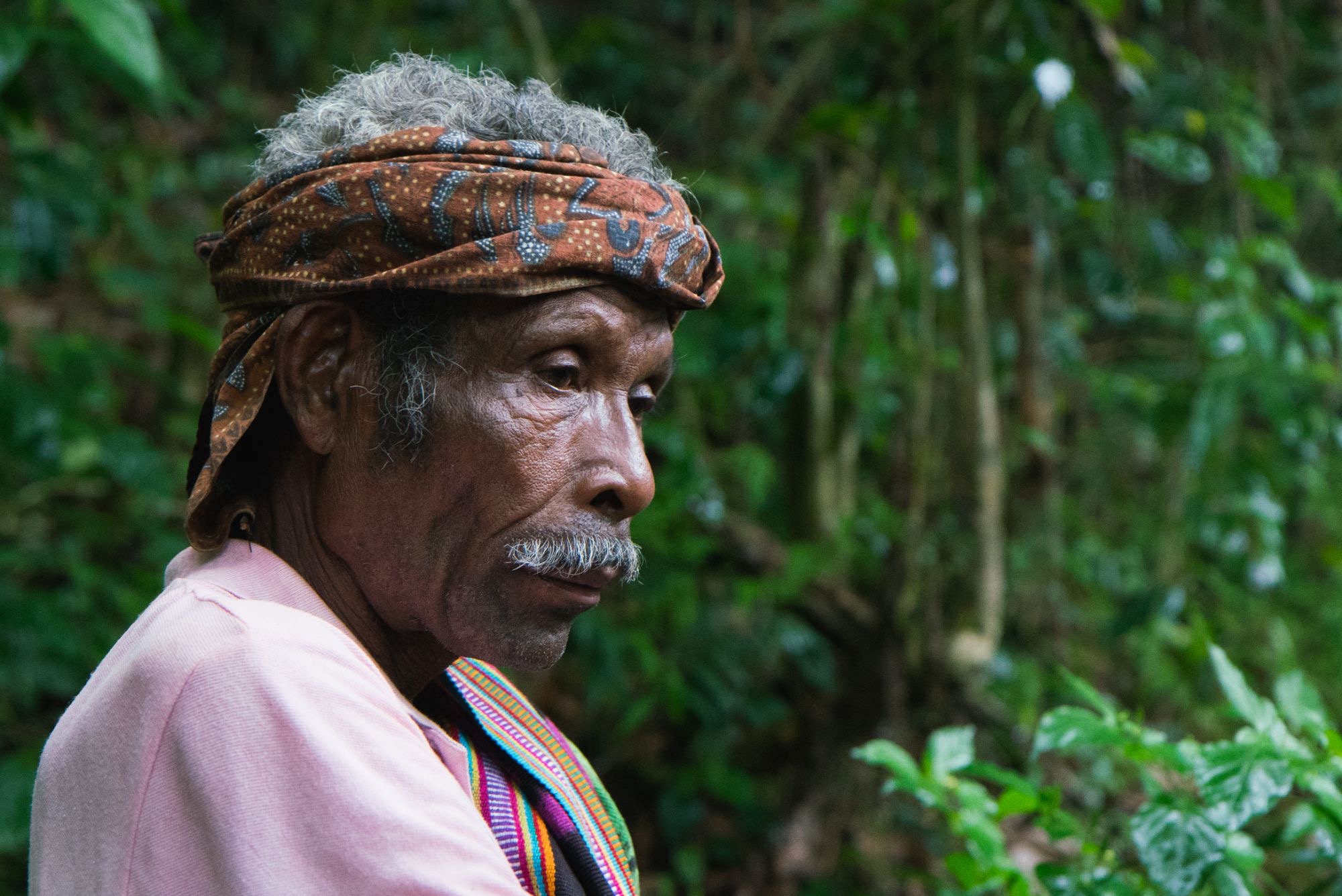 An older man in a patterned headwrap and a woven scarf, in profile, in a coffee forest